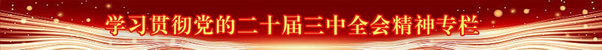 学习贯彻党的二十大精神